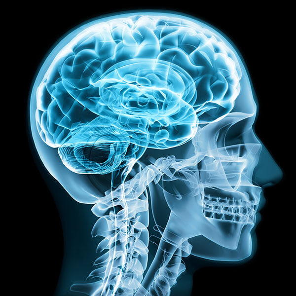 Popular Beginner Nootropics